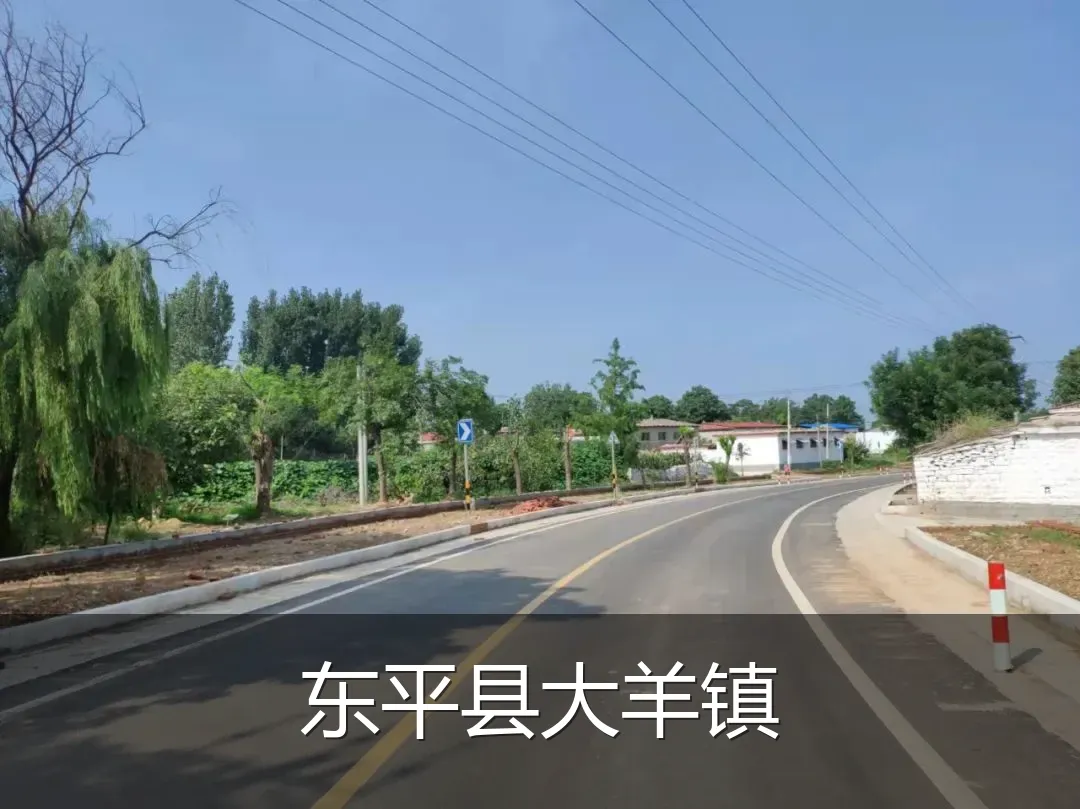 东平县大羊镇