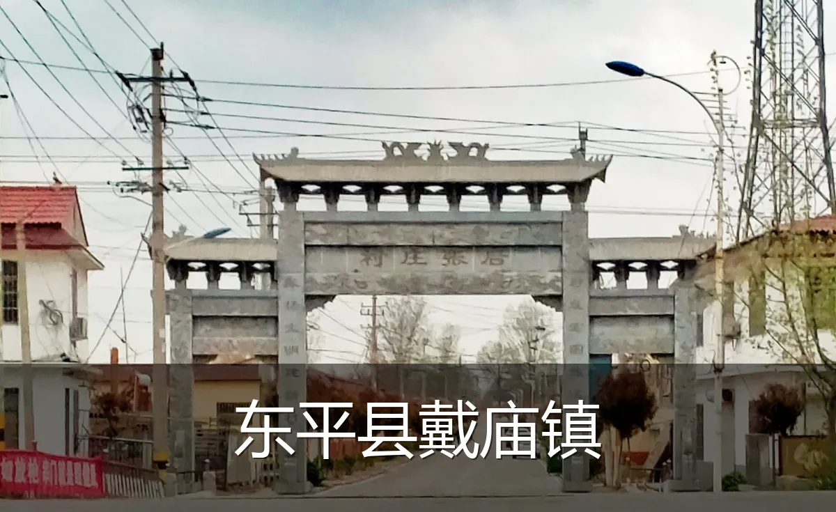 东平县戴庙镇