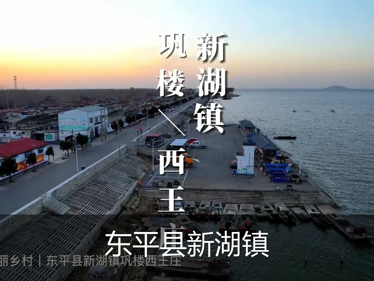 东平县新湖镇