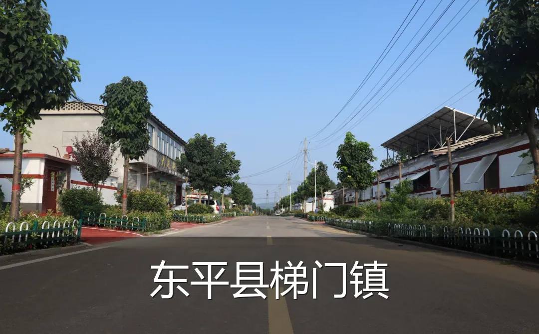 东平县梯门镇
