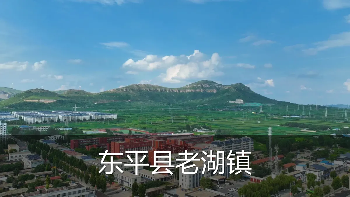 东平县老湖镇