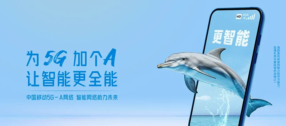 东平县东平县斑鸠店镇 移动宽带